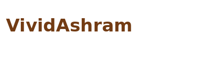 VividAshram logo